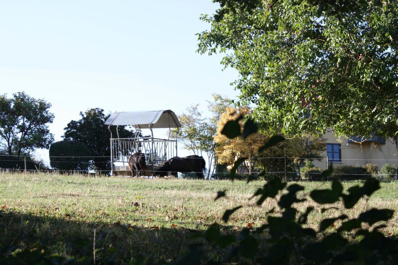 Bed & Breakfast Cocon D'argile