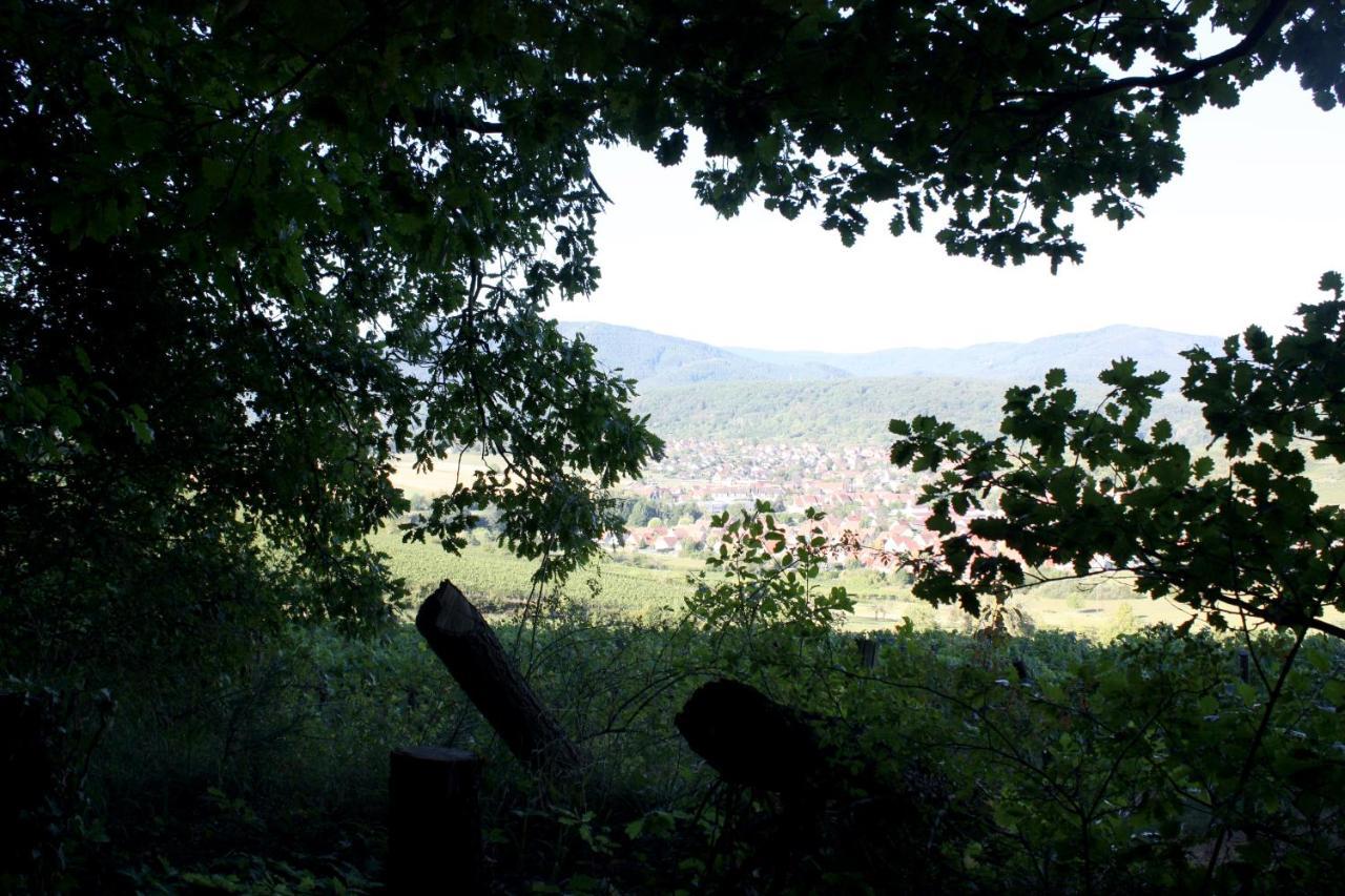 Cocon D'argile Bed & Breakfast Bischoffsheim