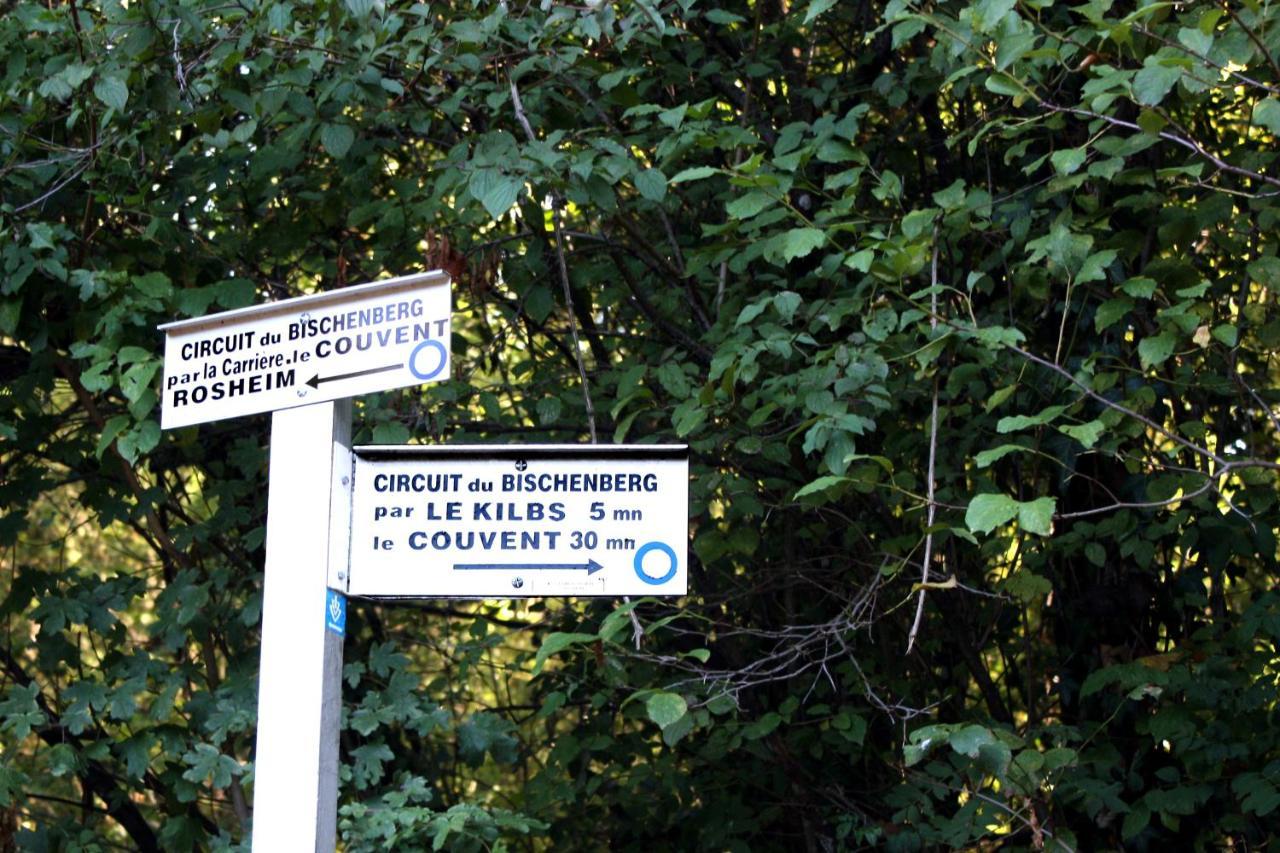 Bed & Breakfast Cocon D'argile Bischoffsheim